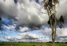 大巴黎对决巴萨,谁能在欧冠赛场笑到最后?