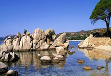 葡萄牙vs丹麦首发阵容会有哪些看点?